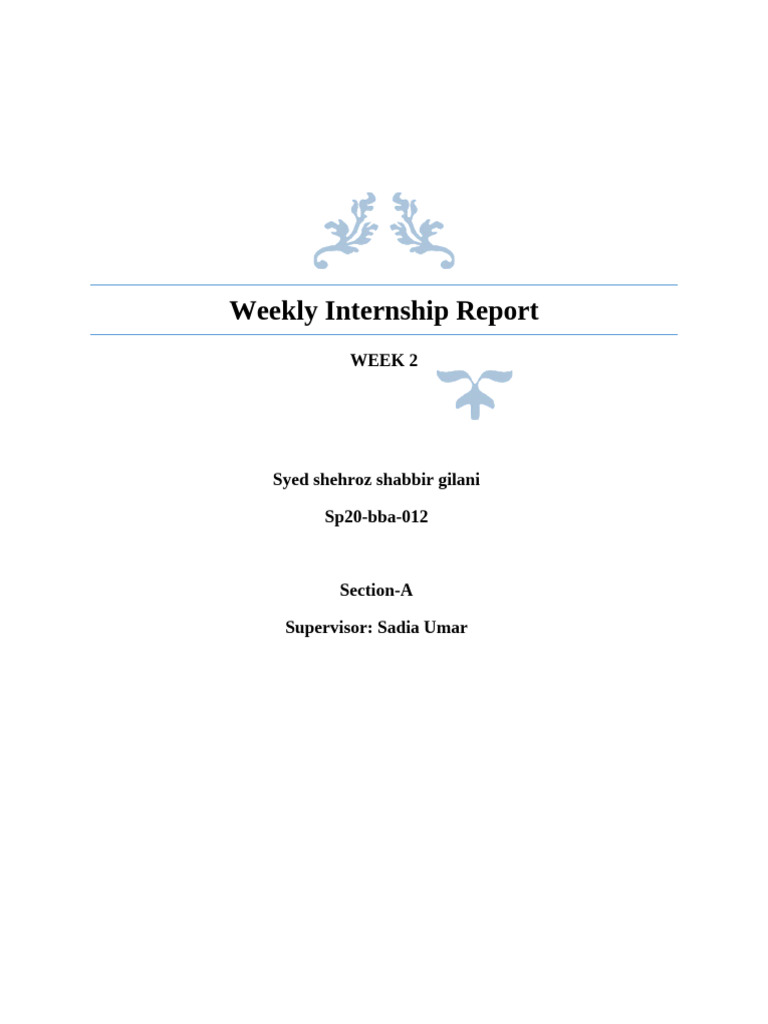 Week 2 Internship Activities Report | PDF