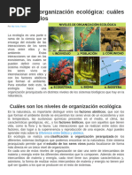 Organizador Visual de Niveles de Organizacion Ecologicas | PDF ...