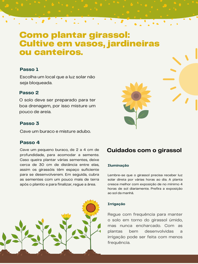 Guia de Plantio Do Girassol | PDF