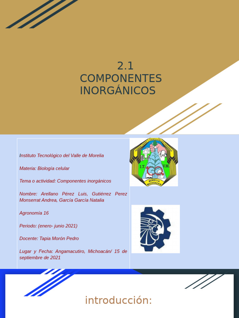 Componentes Inorganicos-2 | PDF