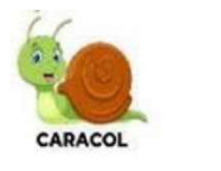 Caracol | PDF