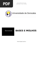 Apostila Teórica Bases e Molhos 11