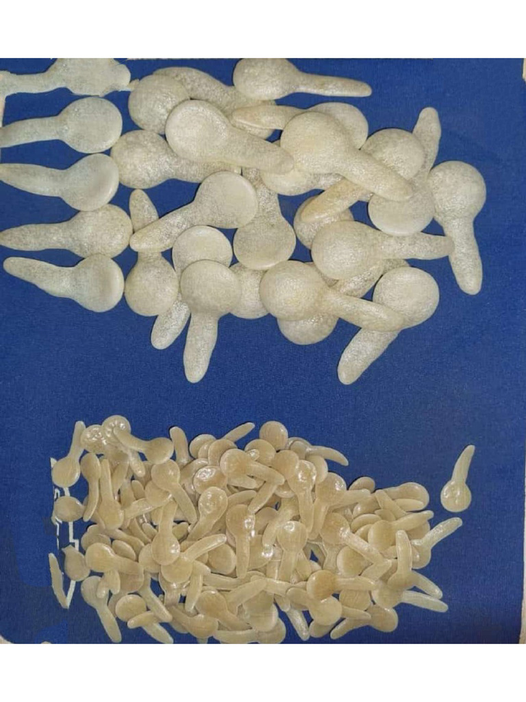 Fryums Items | PDF