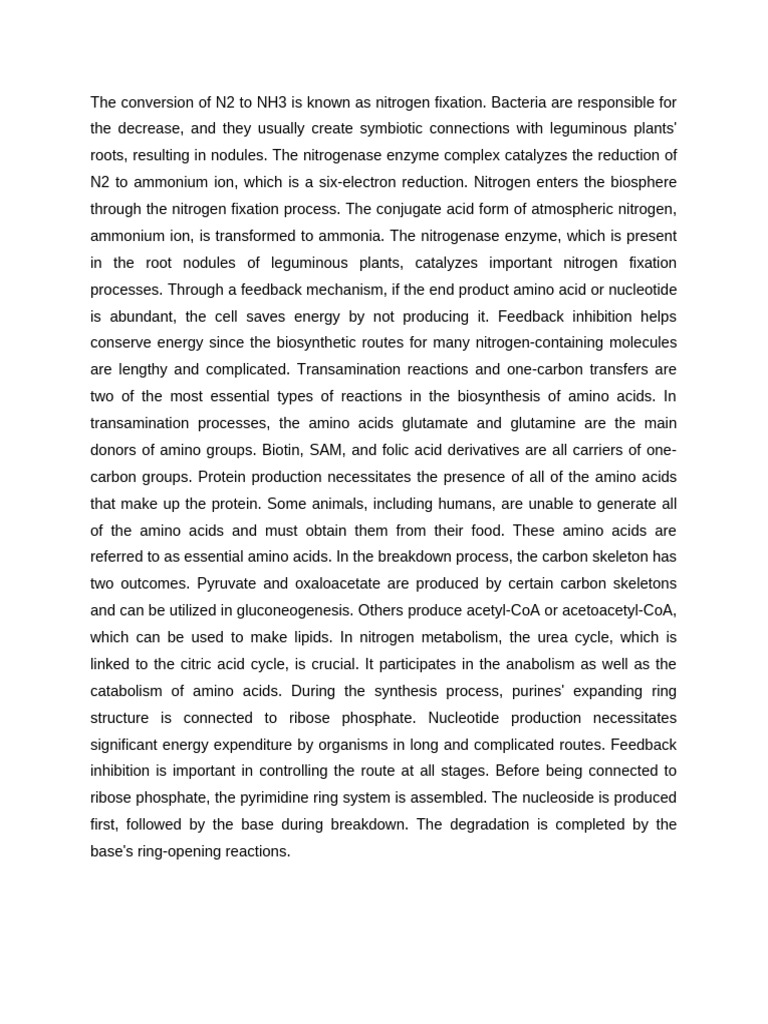 Protein Metabolism PDF