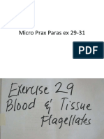 Micro Prax Paras Ex 29-31