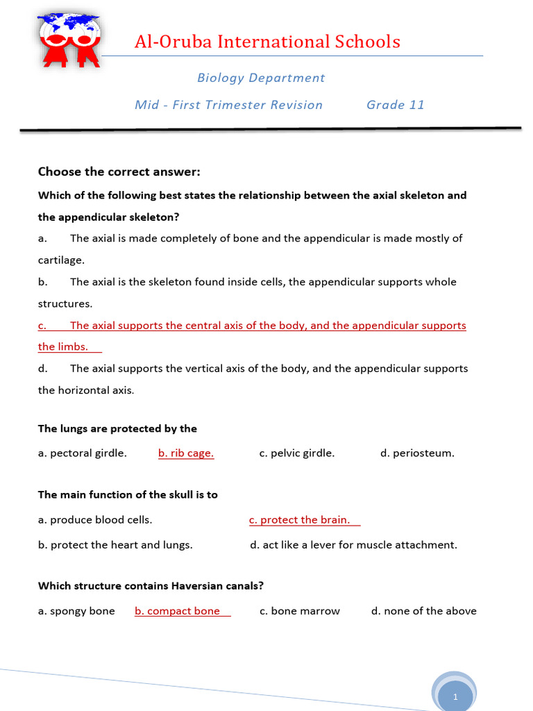 Mid - First Trimester Revision G11 Ans | PDF