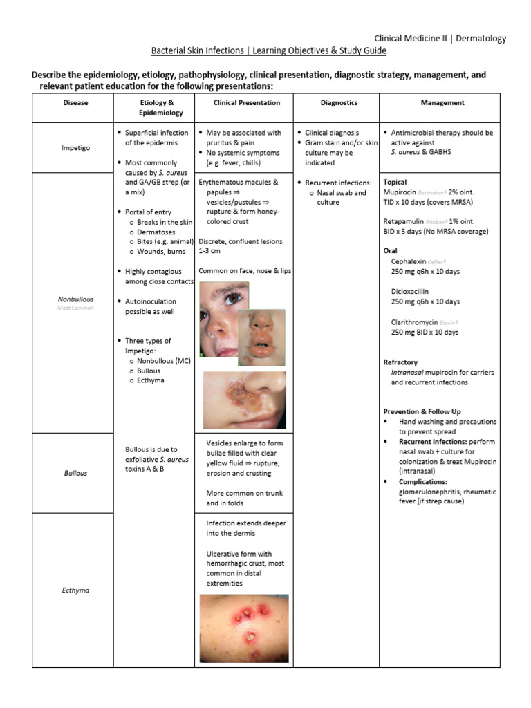 Bacterial Skin Infections | PDF