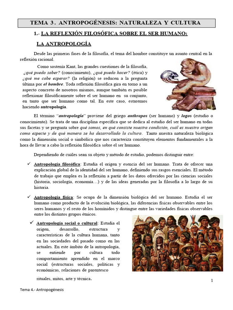 Evolución y Antropogénesis Unidad 3 | PDF