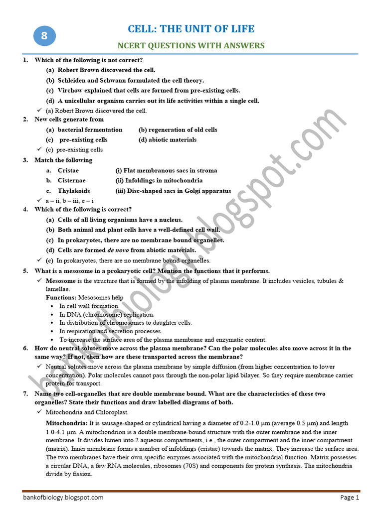 NCERT Cell Biology Q&A Guide | PDF | Cell (Biology) | Social Science