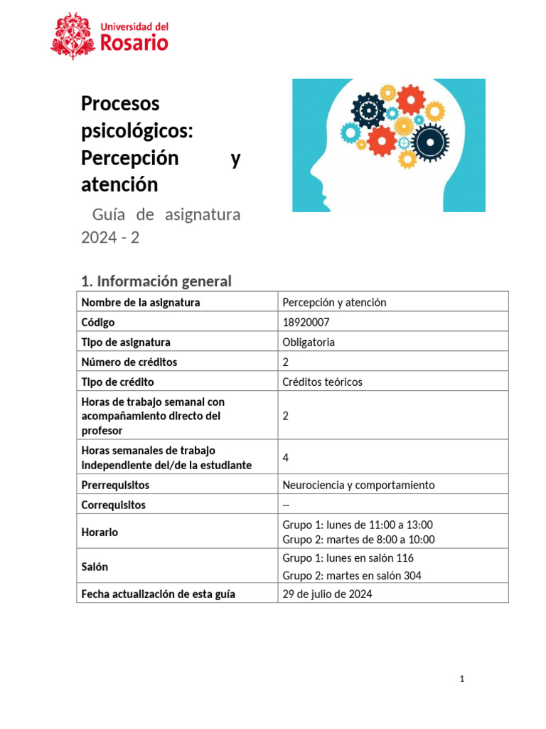 Guía de Asignatura Percepción y Atención 2024 2 | PDF | Aprendizaje ...