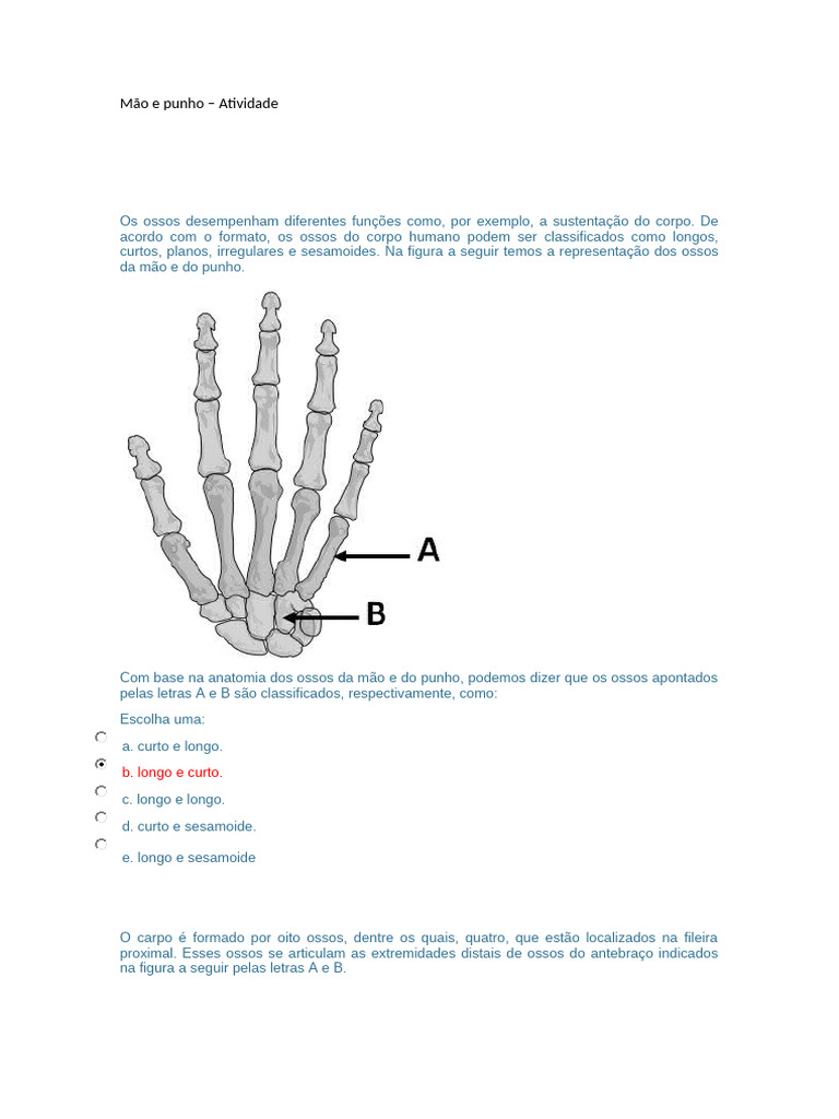 ATIVIDADES DO PORTAL - MÃO E PUNHO (Salvo Automaticamente) | PDF, image size:768x1024