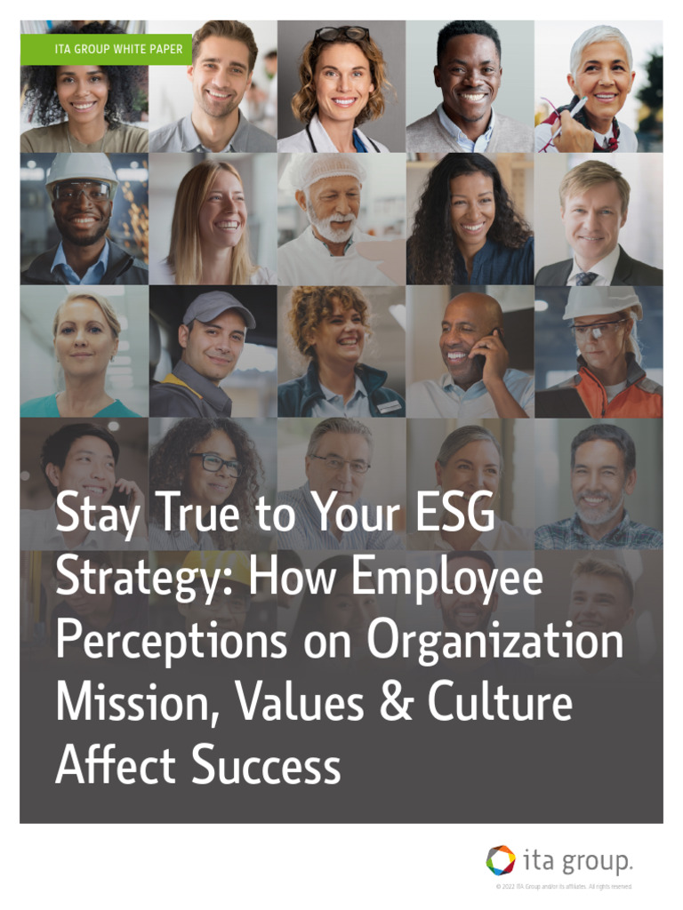 Ita Group White Paper Stay True To Esg Strategy Pdf