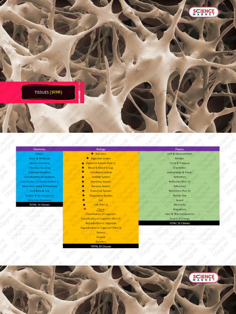 Tissue | PDF