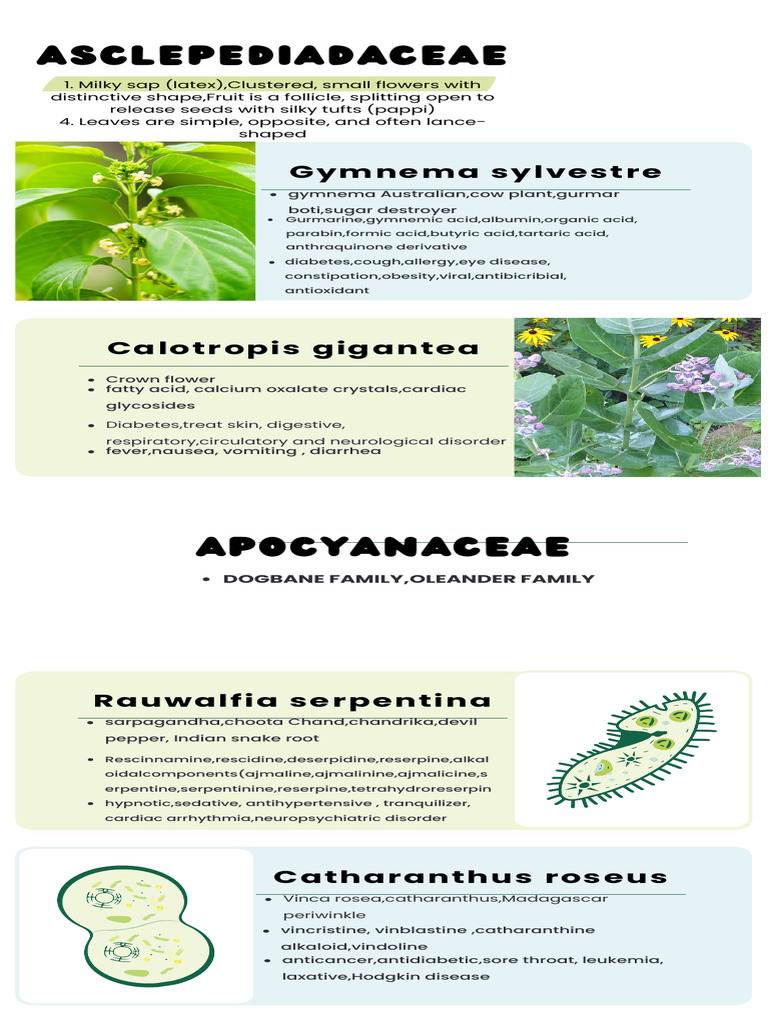Types of Cells Infographic in Green White Blue Illustrative Style ...