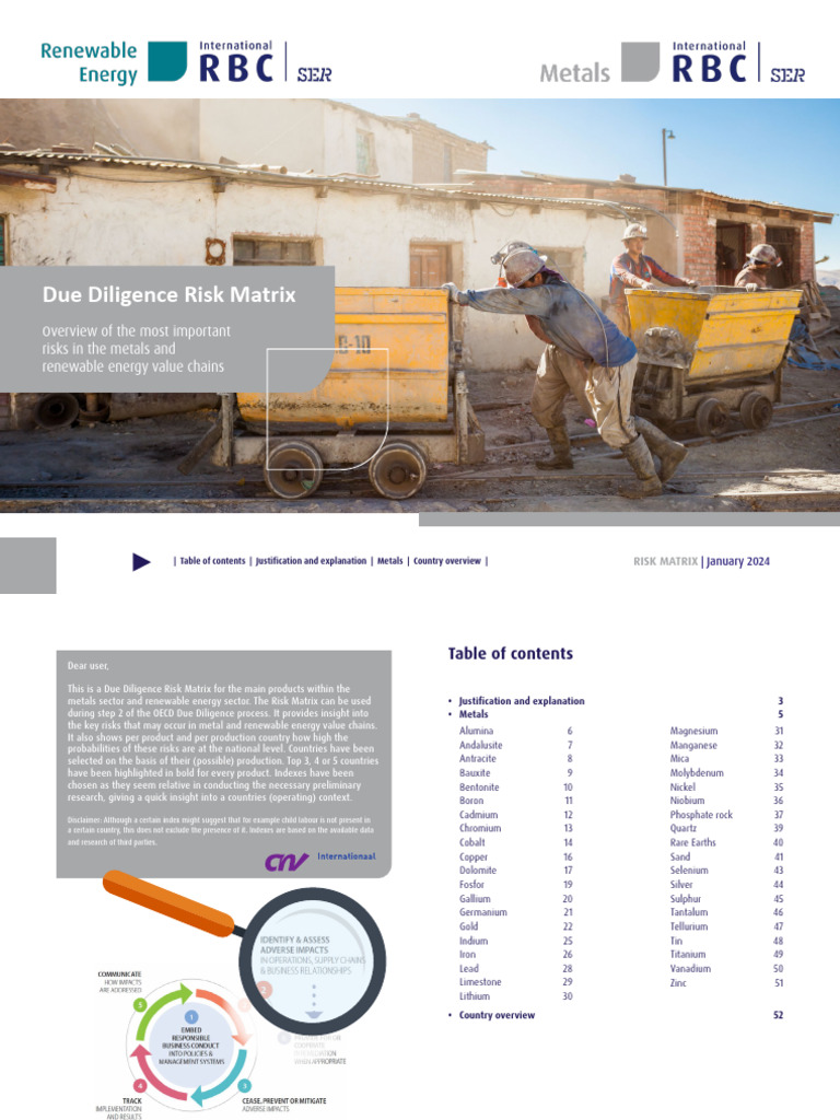 Due Diligence Risk Matrix | PDF