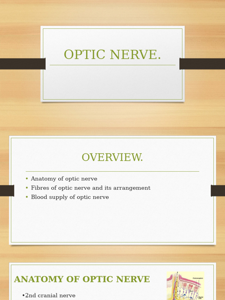 Anatomy and Blood Supply of Optic Nerve | PDF | Nerve | Neuroanatomy
