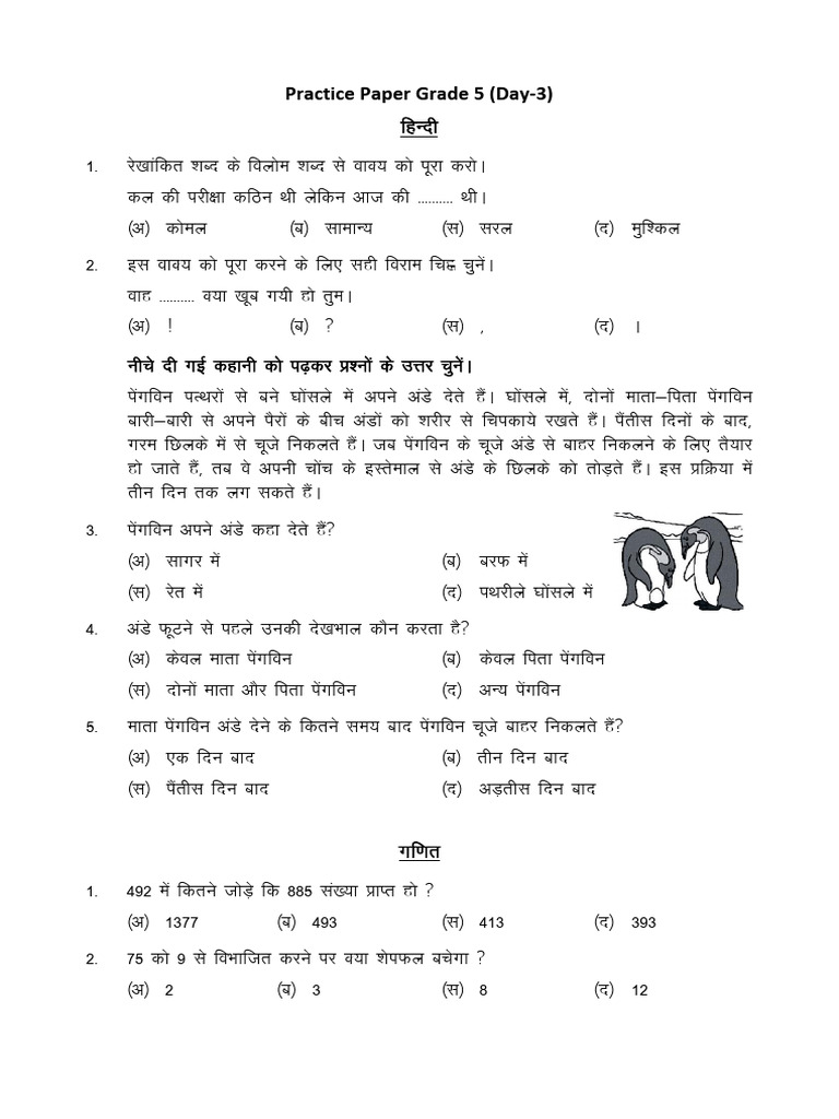 Class 5 | PDF