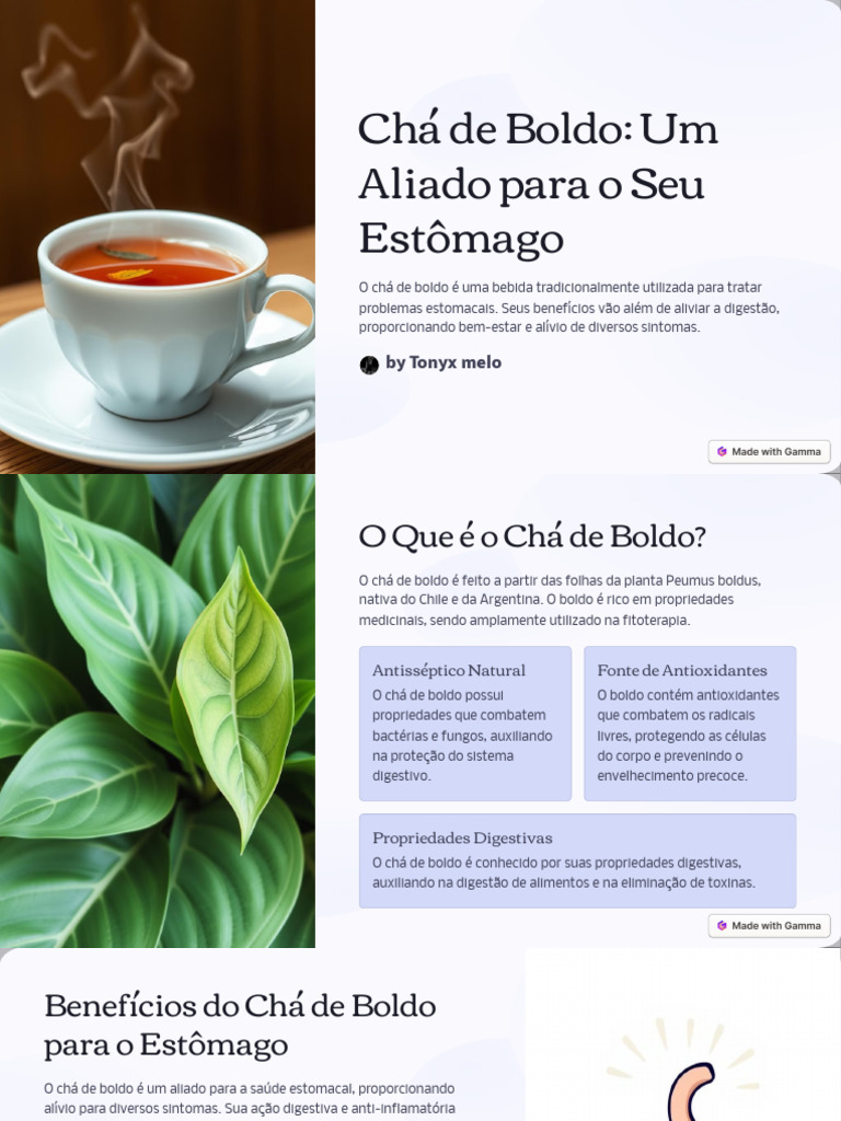 Cha-de-Boldo-Um-Aliado-para-o-Seu-Estomago | PDF