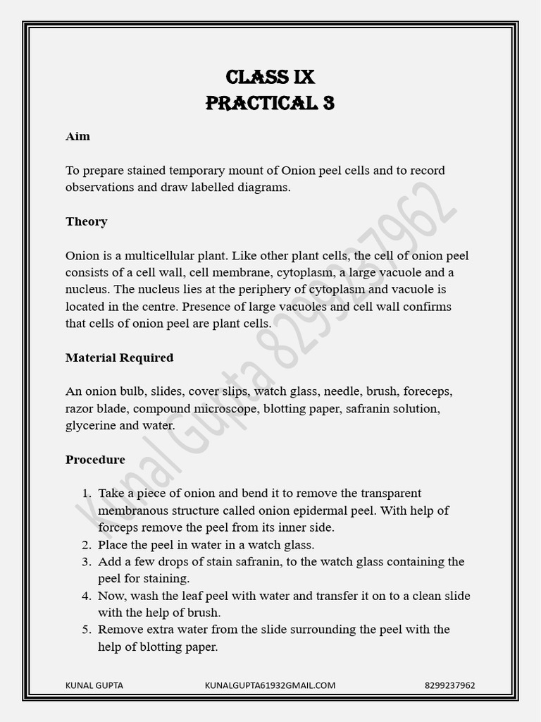 Class ix practical 3 to prepare stained temporary mount of onion peel
