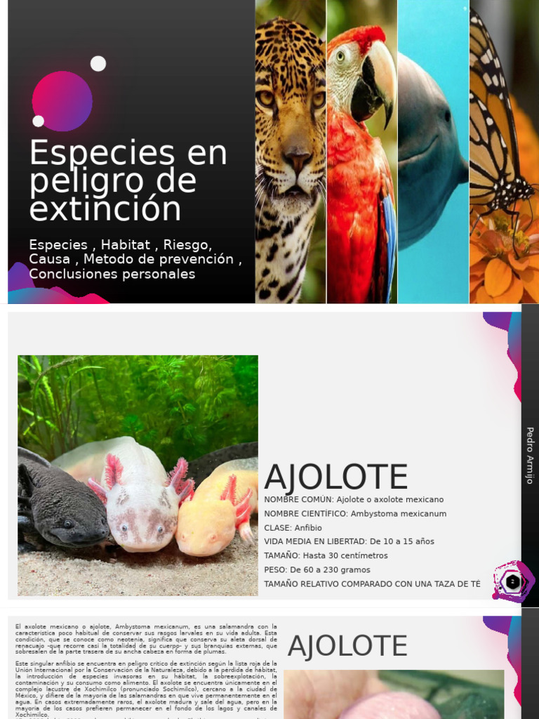 Especies en Peligro de Extinción | PDF