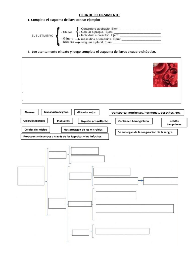FICHA de Comunicación Día 13 | PDF