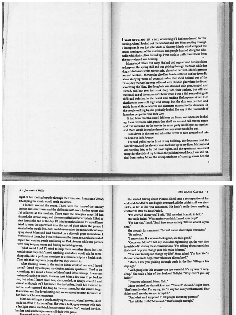 Walls Glass Castle by Walls PDF
