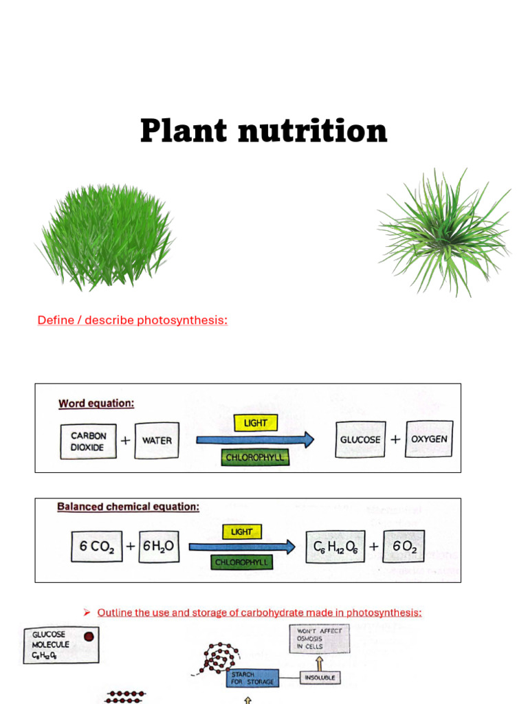 PLANT NUTRITION QUESTIONS AND ANSWERS PDF GRADE 9 PDF DOWNLOAD visual data 7