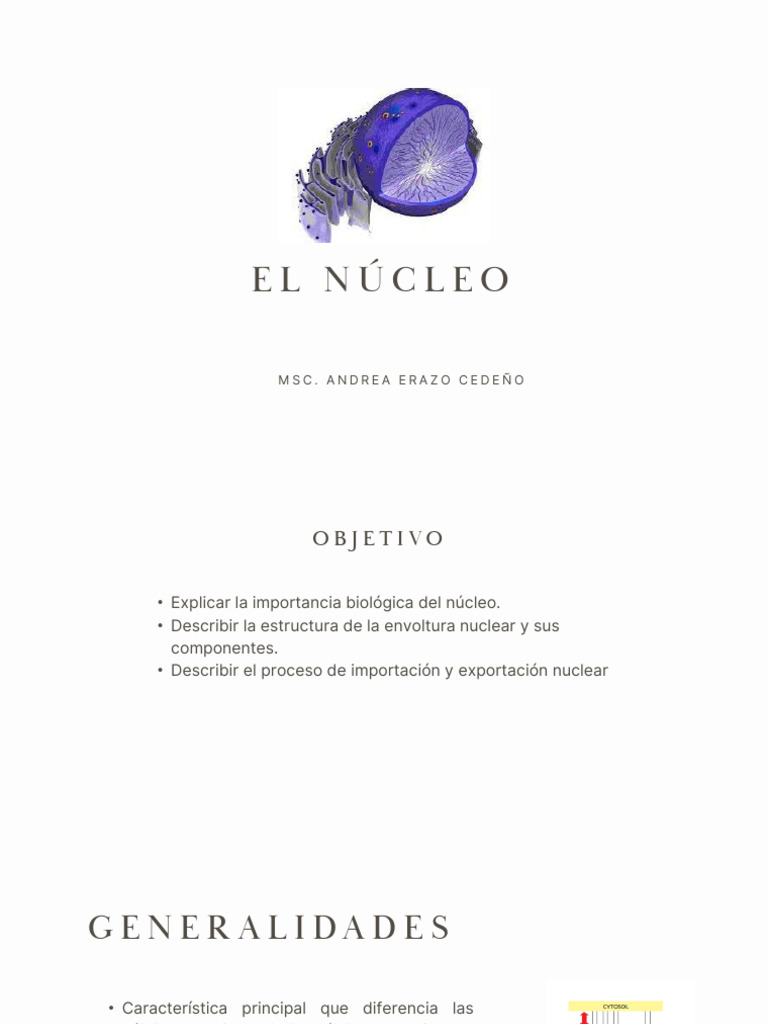 Núcleo Pdf