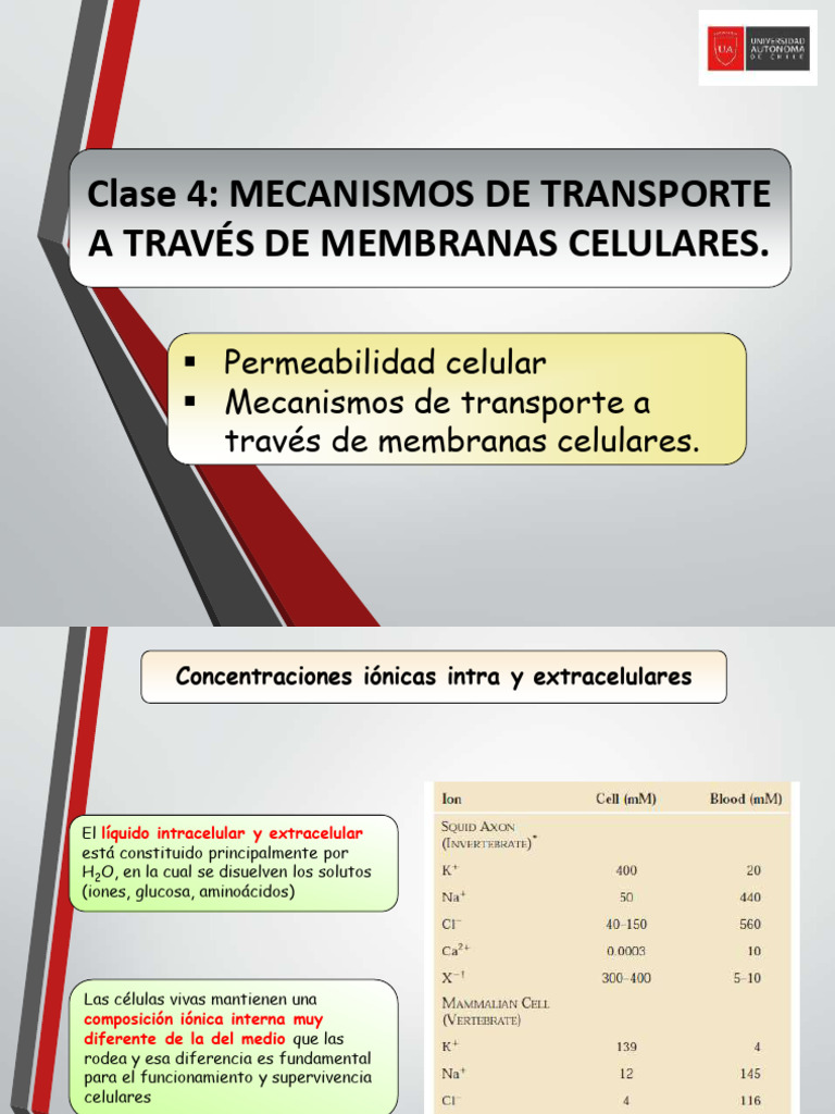 Clase+4+ +Mecanismos+de+Transporte+a+Trav%C3%A9s+de+Membranas+Celulares ...