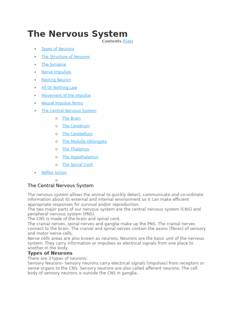 The Central Nervous System | PDF