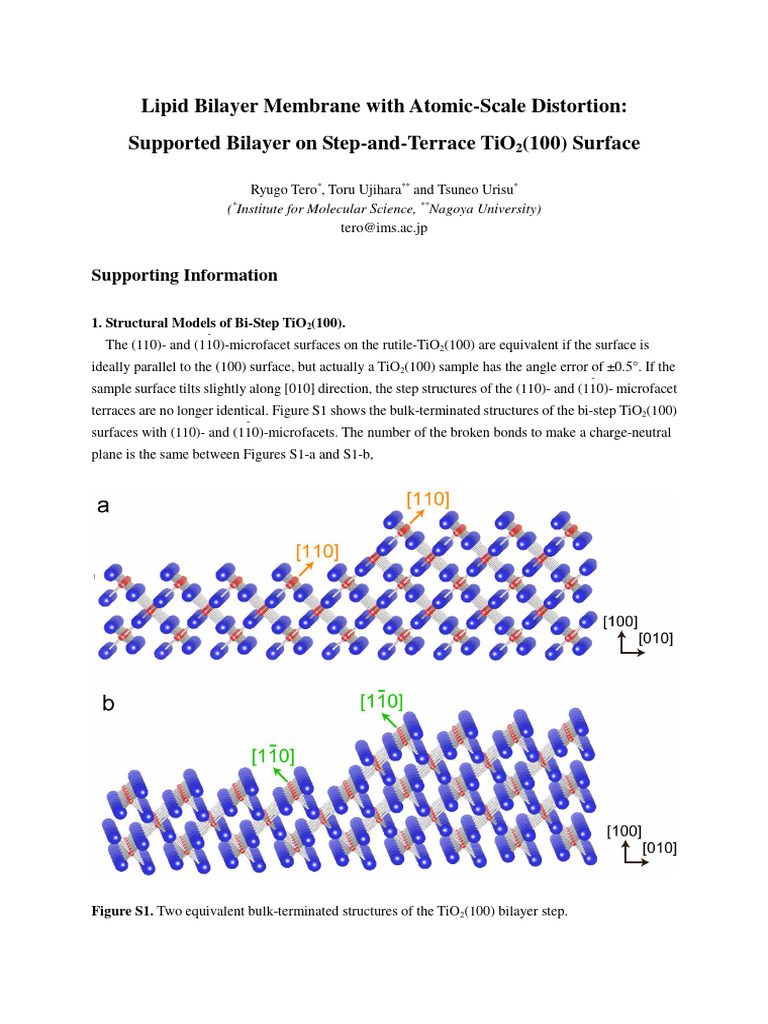 La801080f - Si - 001-Lipid Bilayer Membrane With Atomic Step Structure ...