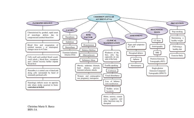 Concept Map Pdf