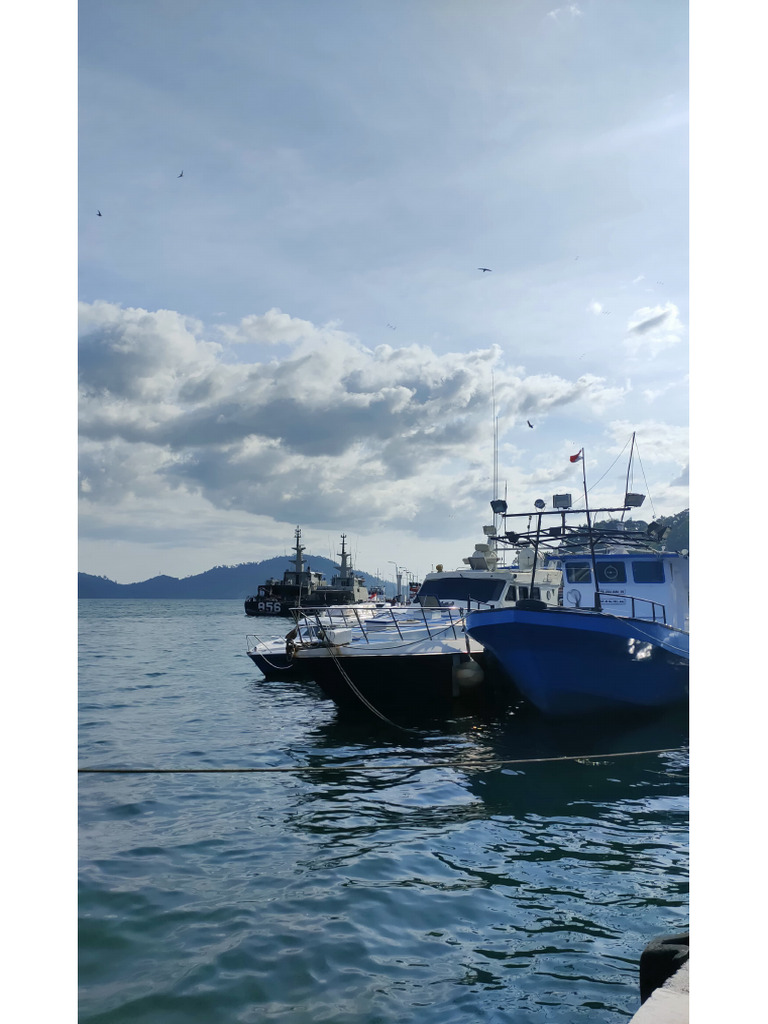 Is Code 1203 Pdf Free Download