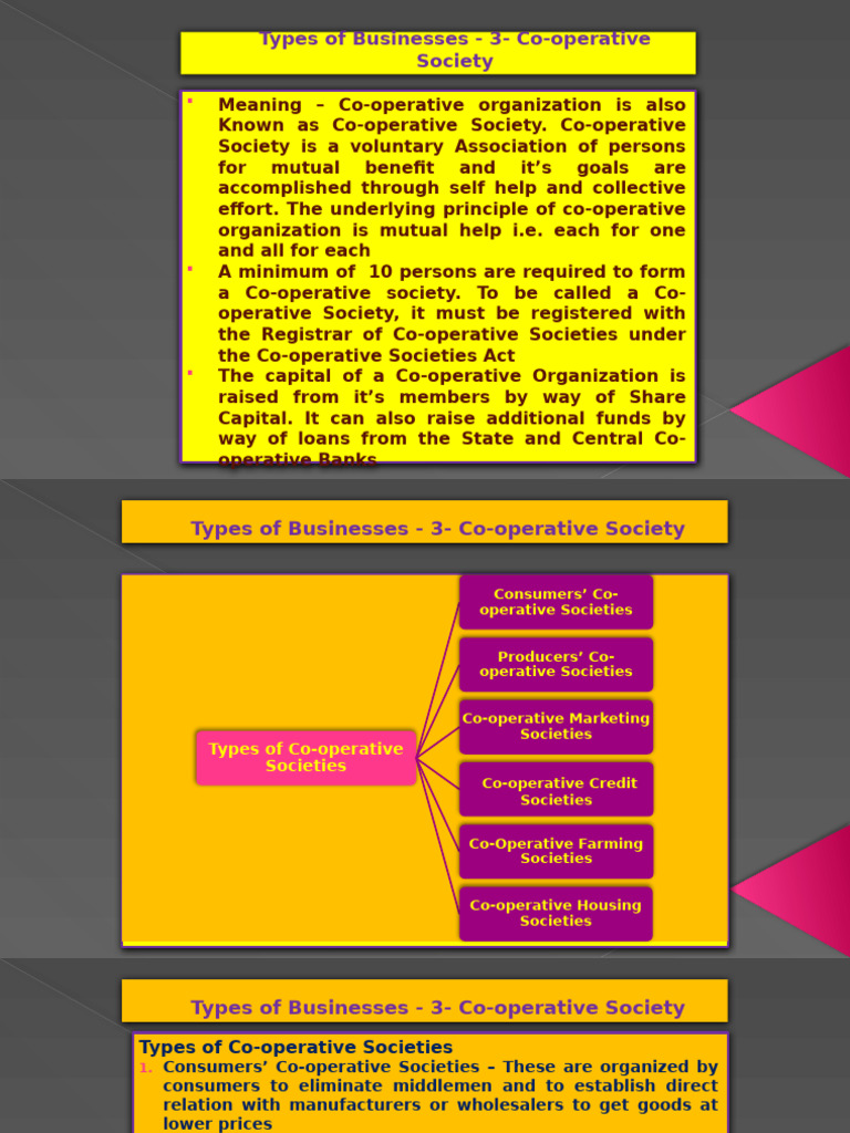 Types of Businesses - 3 - Co-Operative Organization | PDF