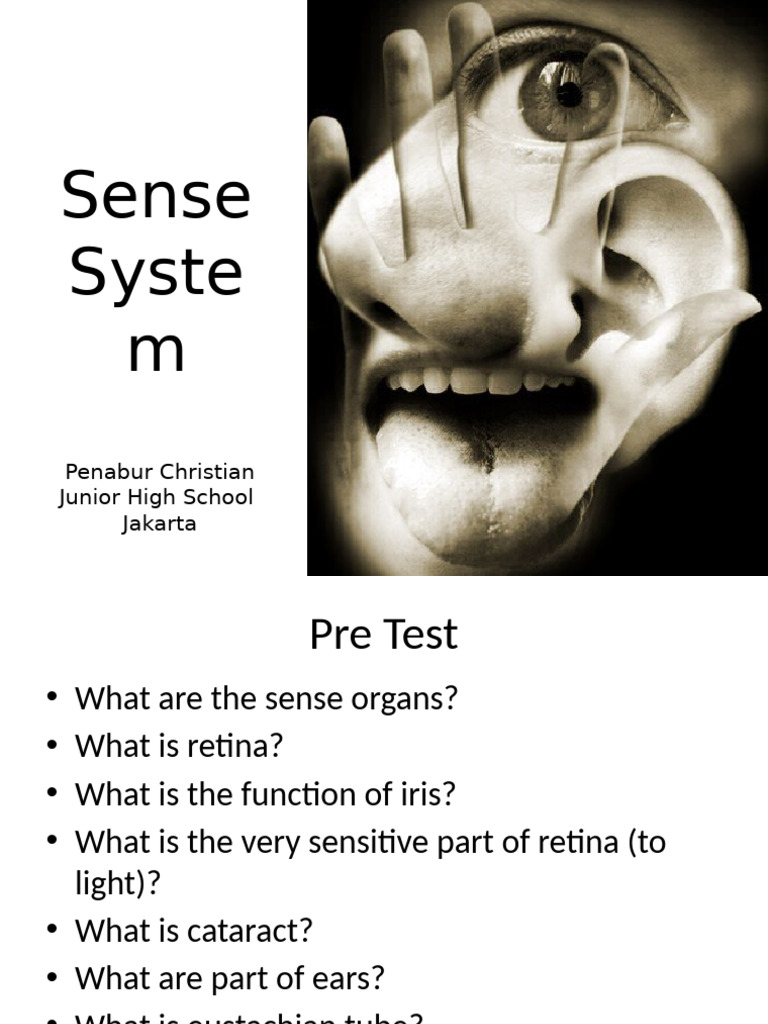 Sense System | PDF