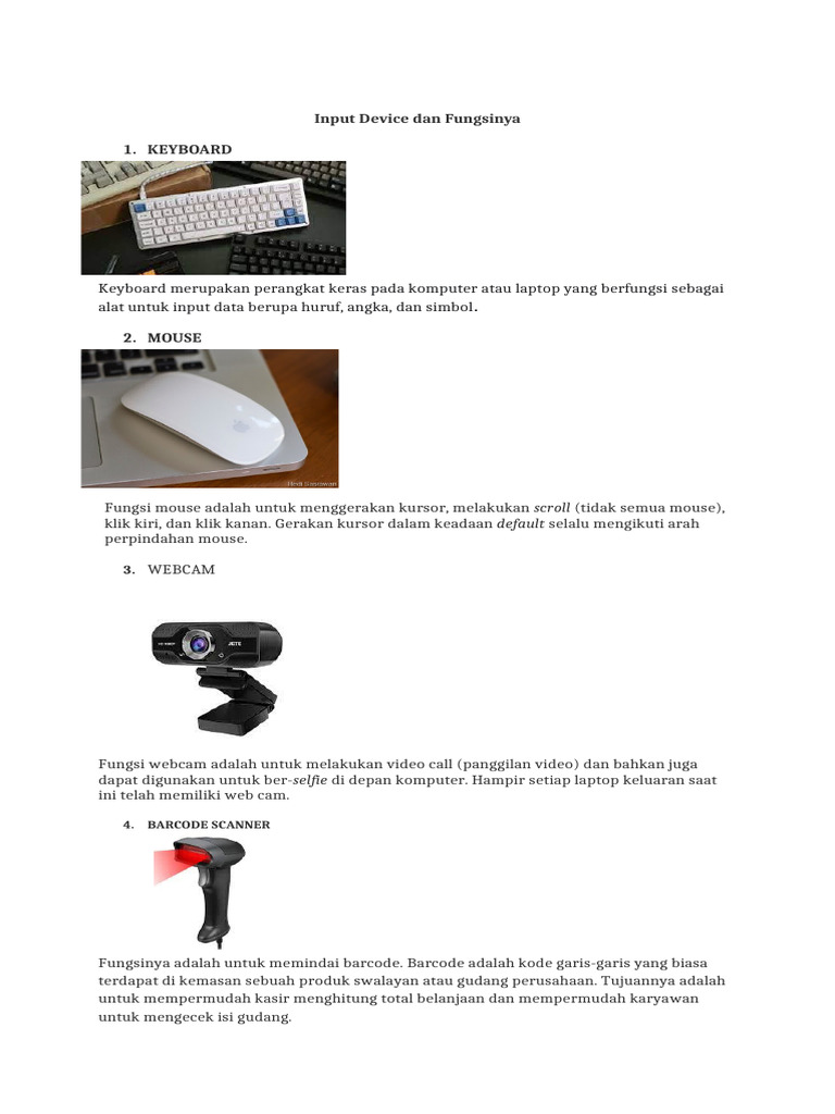 Input Device Dan Fungsinya | PDF