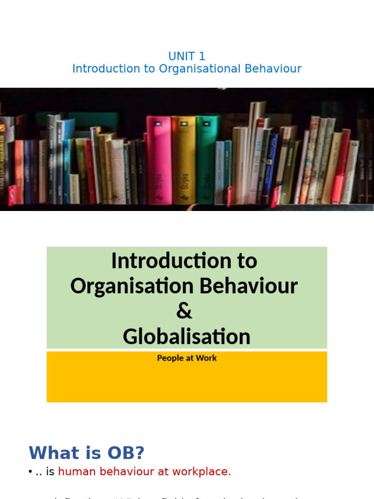 Intro To OB Globalisation | PDF