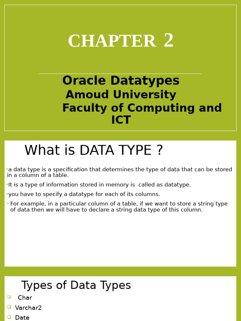 Chapter 2 Oracle Datatype | PDF