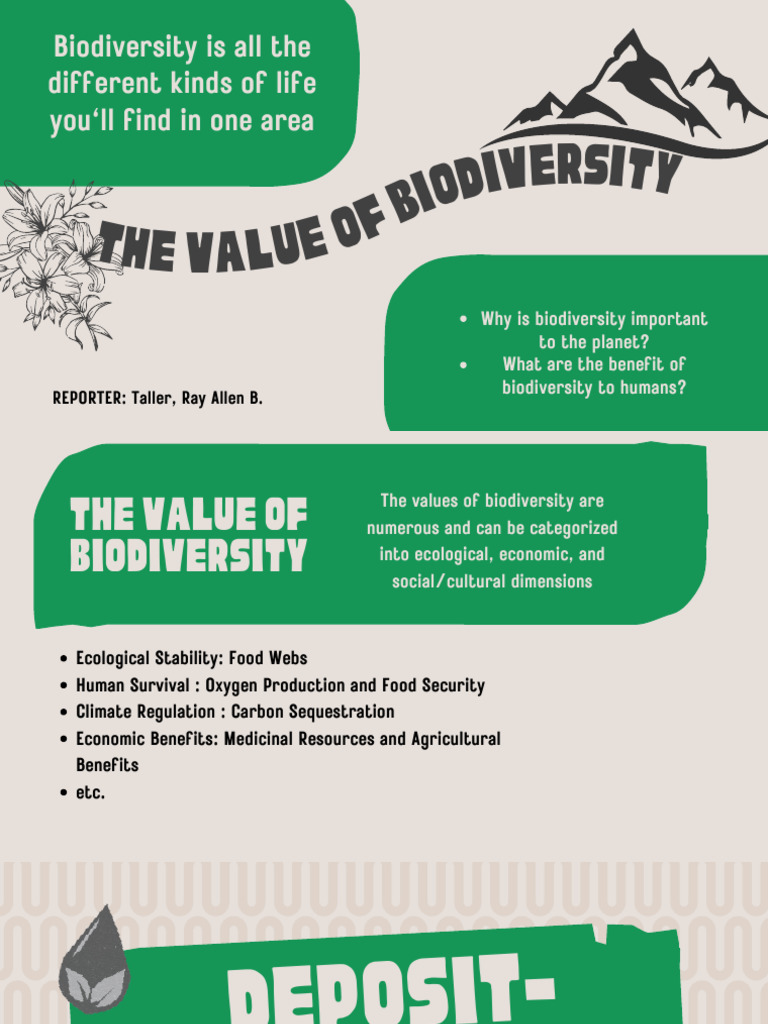 The Values of Biodiversity Are Numerous and Can Be Categorized Into ...