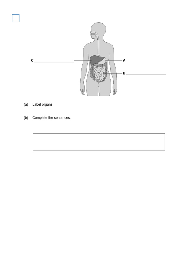 (A) Label Organs: A, B and C | PDF