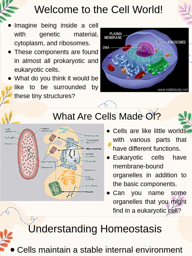 Cell Transport | PDF
