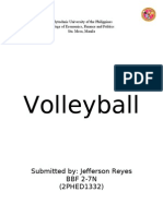 Volleyball