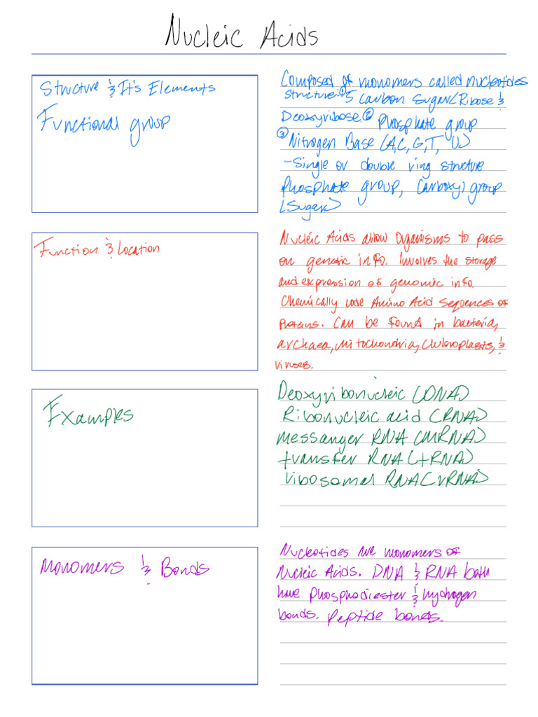 Note Aug 22 2024 Pdf