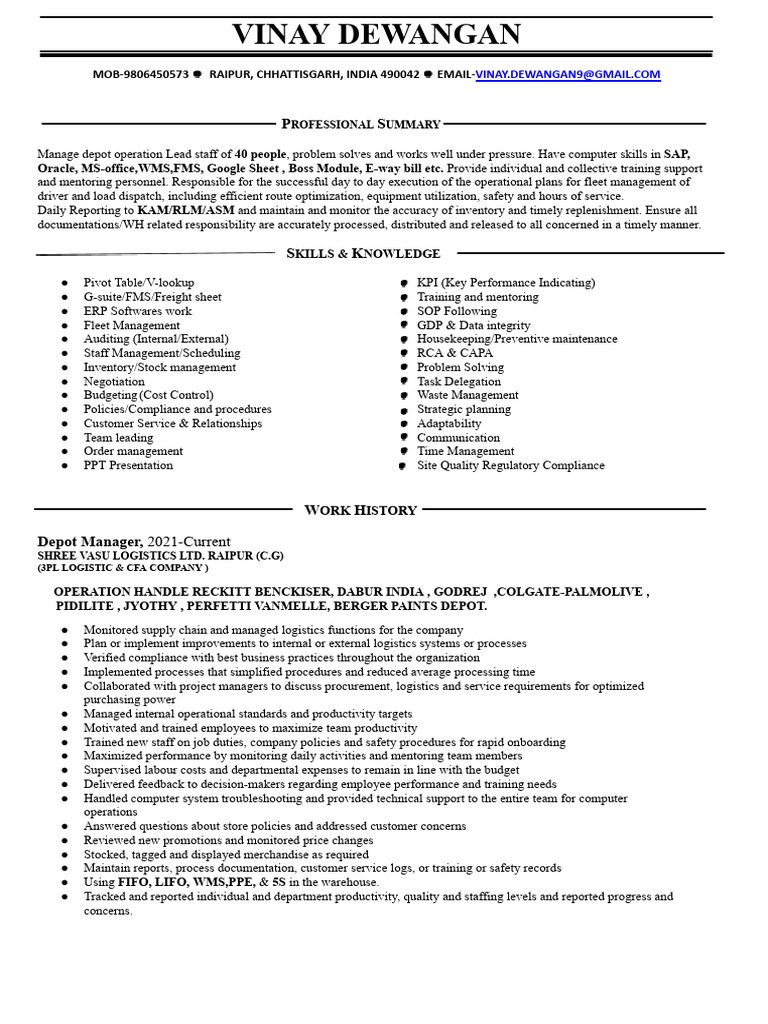 CV Vinay 2024 | PDF