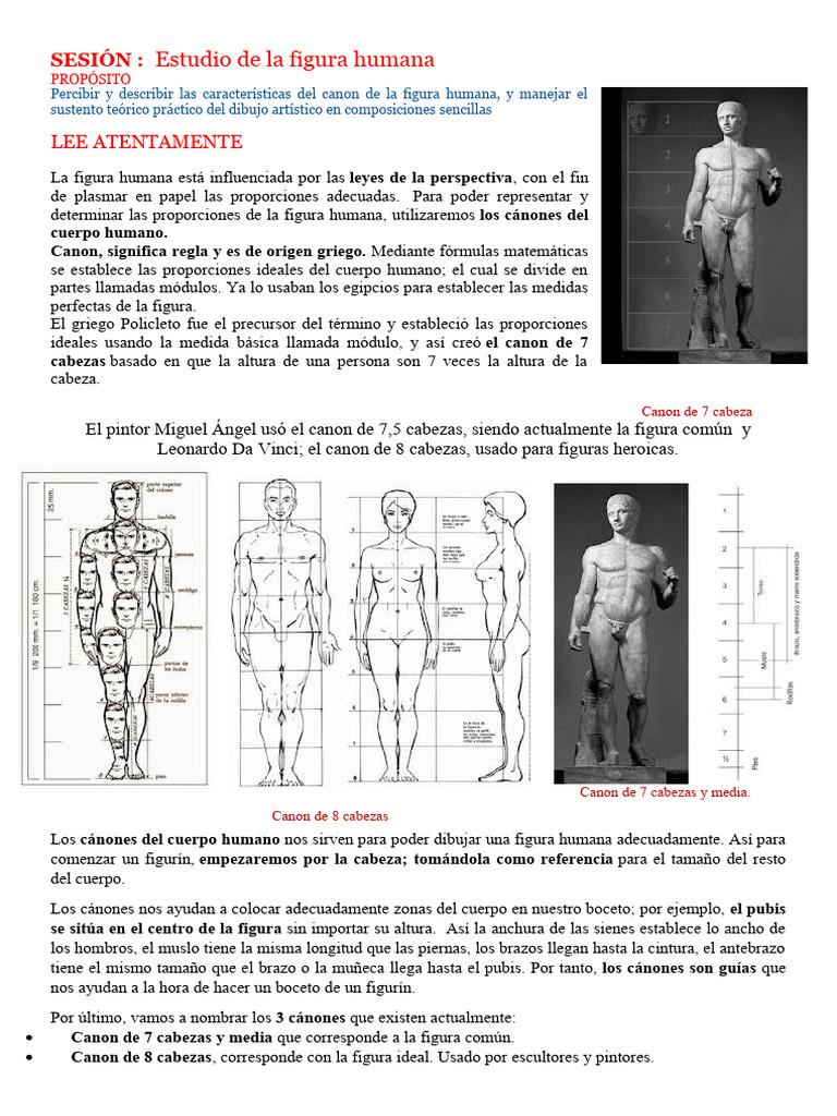 Clase Estudio de La Figura Humana 1 | PDF