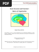 Brain Structure & Function