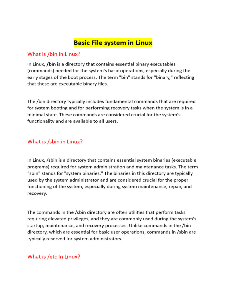 Basic File Systems | PDF