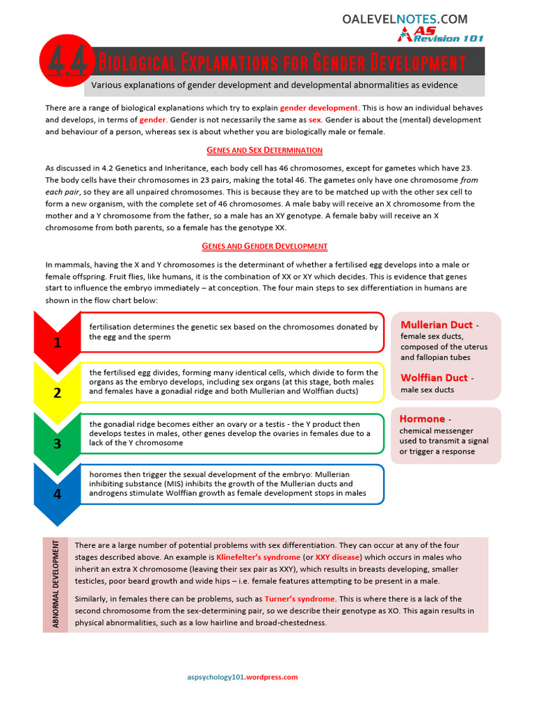 ' 4-4 Biology As An Explanation For Gender Development | PDF