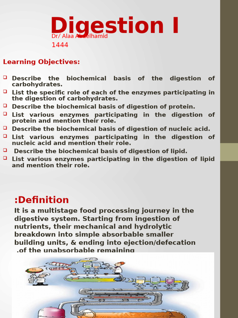 Digestion I | PDF
