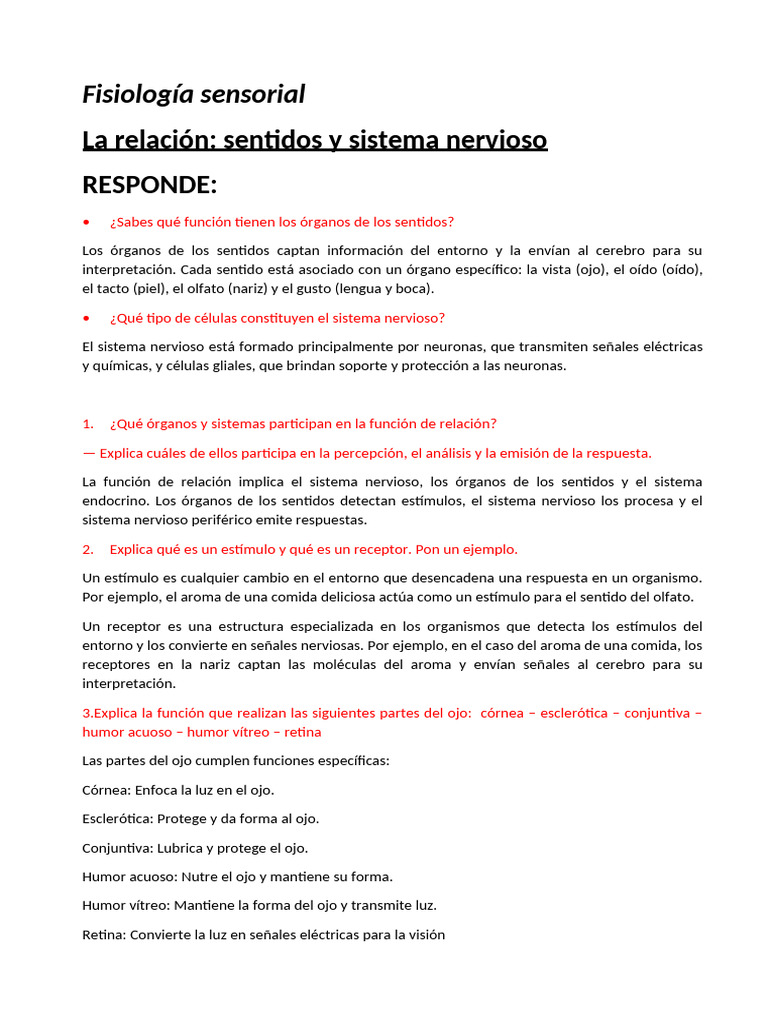 Relación Sentidos y Sistema Nervioso PDF | PDF